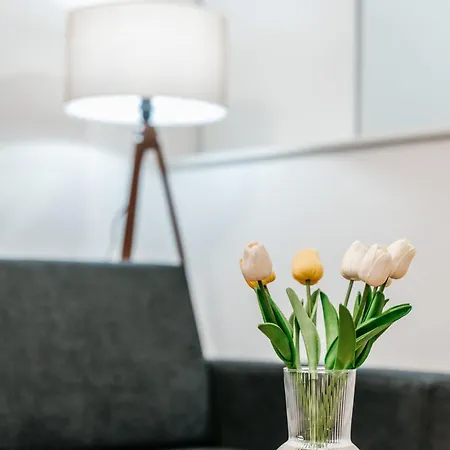 Apartman Friday 公寓 特拉夫尼克